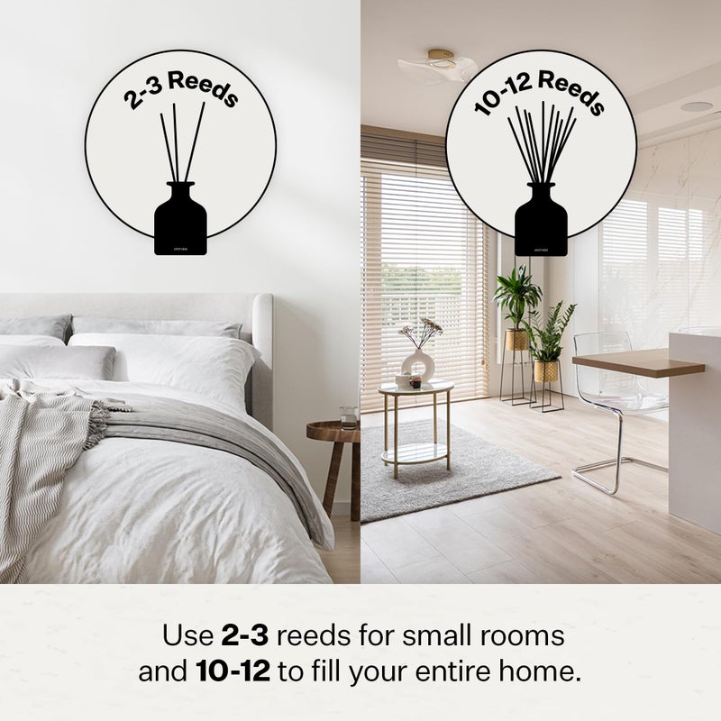 Apotheke Luxury Scented Reed Diffuser for Home, Charcoal - 6.7 Fl Oz Essential Oil Aromatherapy - 10 Rattan Scent Sticks Room Diffuser - Long-Lasting Fragrance for Bedroom, Home, Bathroom - Image 4